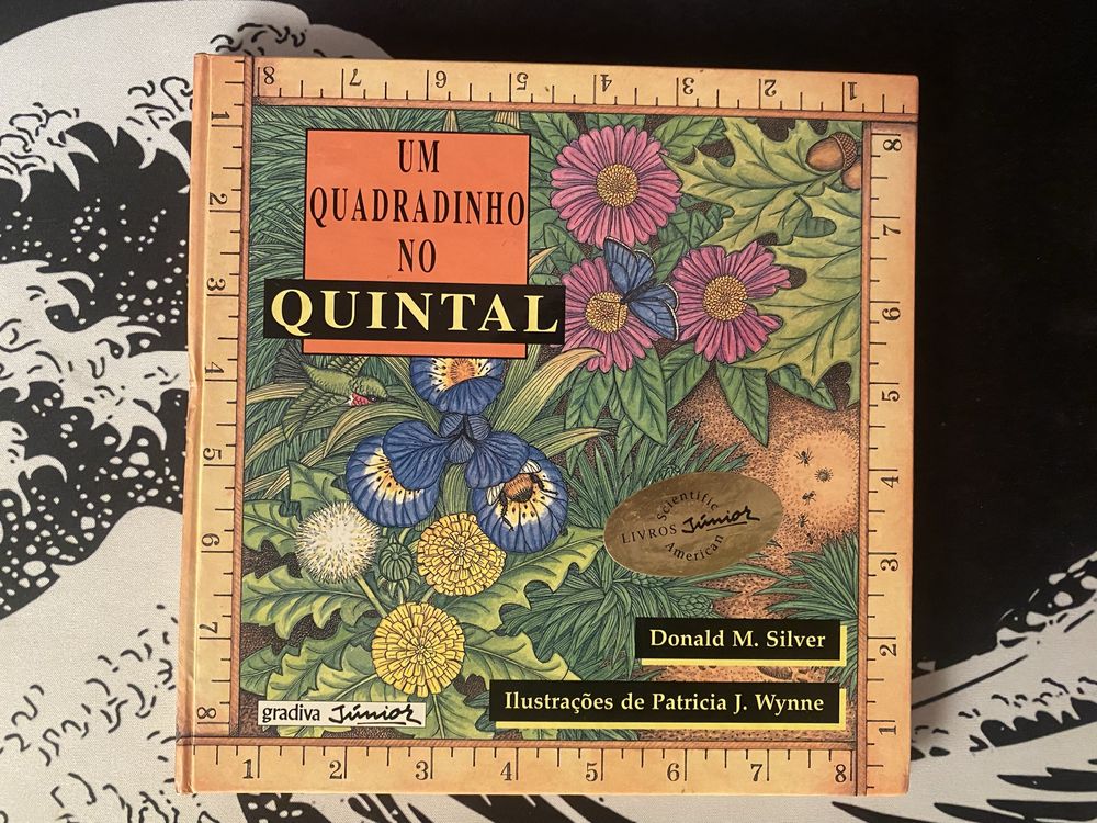 Livro - Um quadradinho no meu quintal