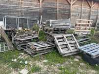 PALETY drewniane za darmo