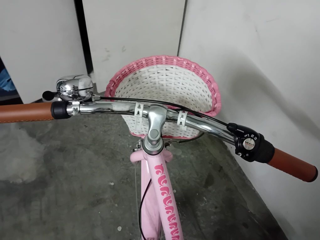 Bicicleta Menina com cesto