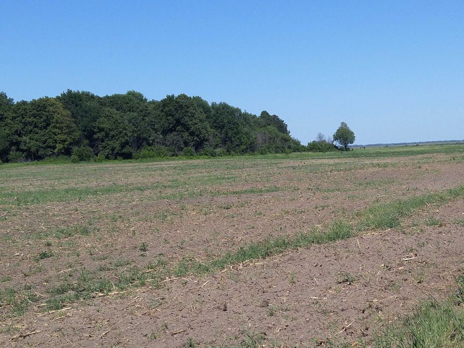 Продам участок 10 Га, поряд ліс, річка, с. Світильня