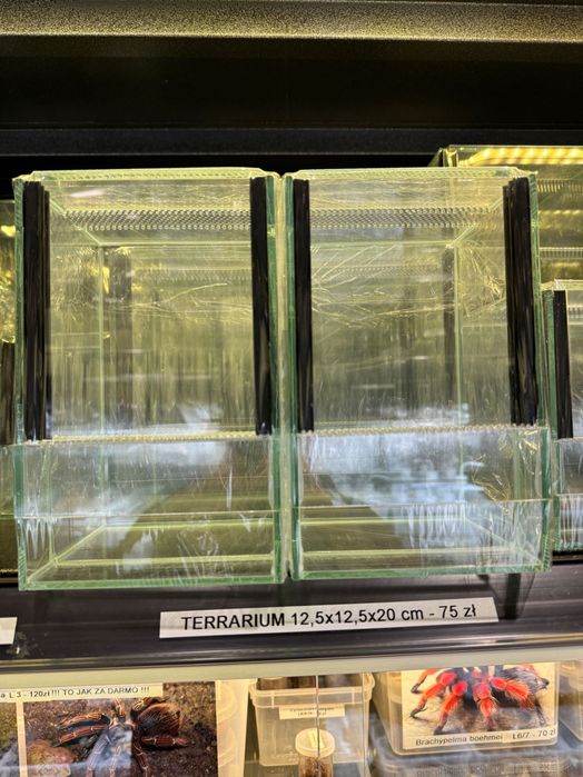 Terrarium do hodowli ptasznika 12,5x20x25 cm - sklep terrarystyczny