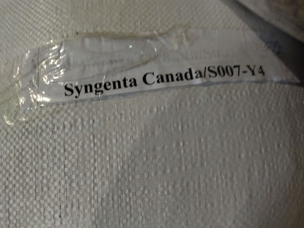 Насіння сої Syngenta Canada/S007-Y4