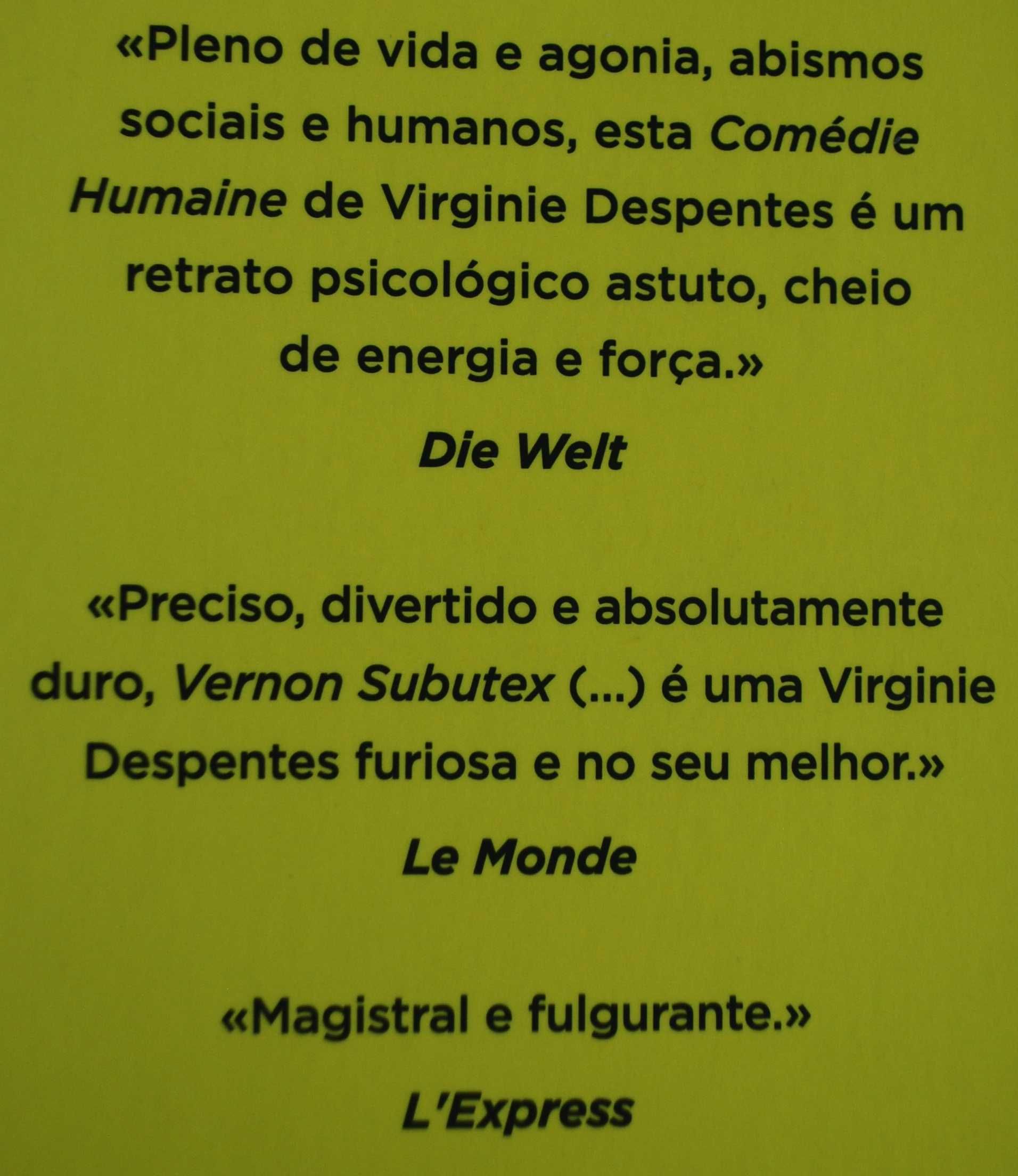 Vernon Subutex 1 de Virginie Despentes