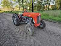 Massey ferguson 35 sadowniczy