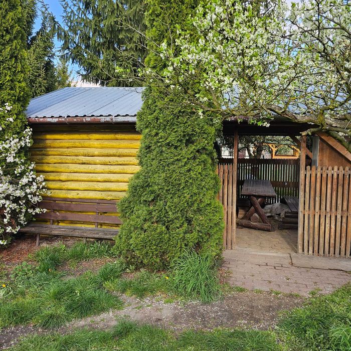 Działka ROD Czeremcha