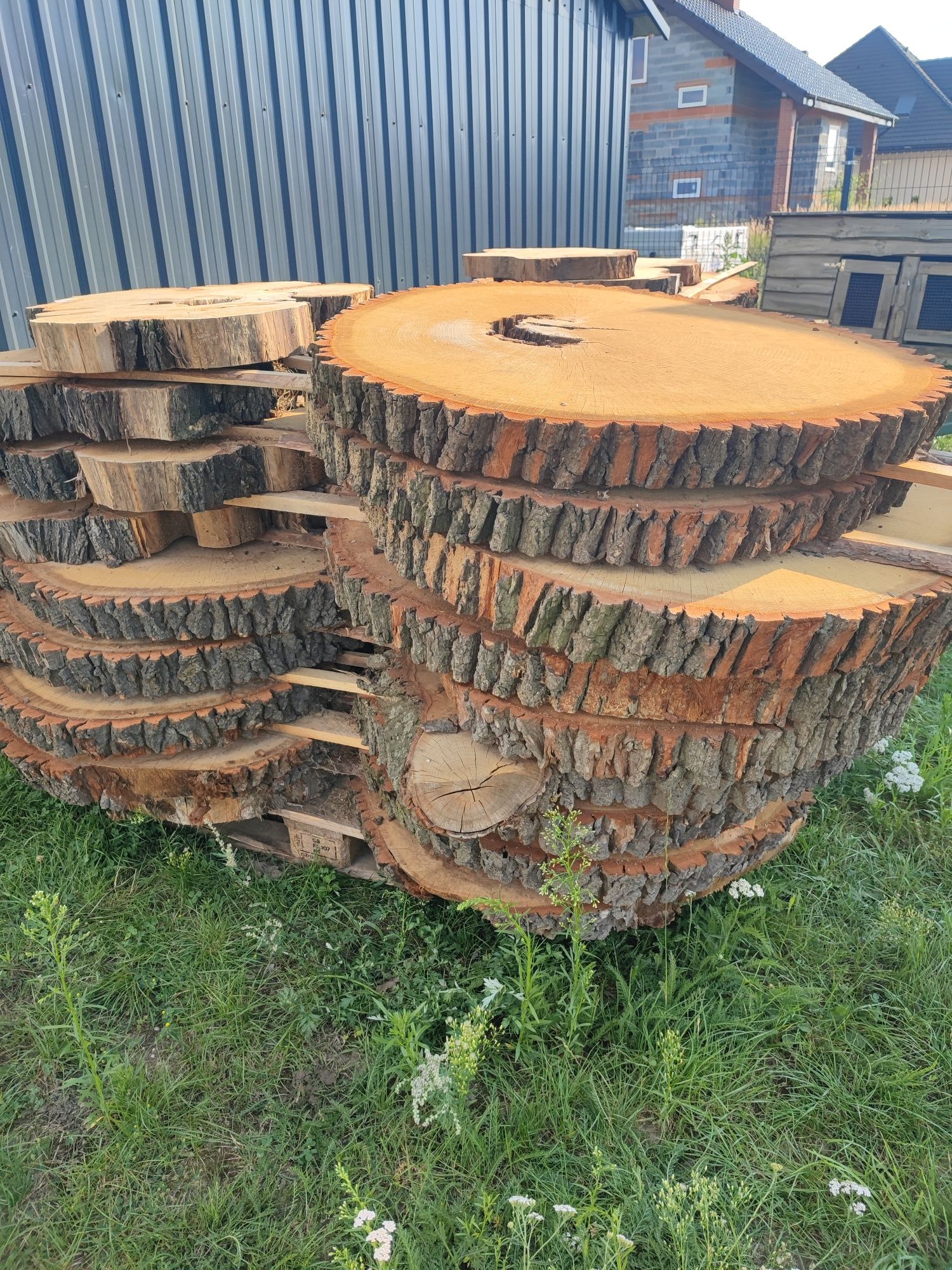 Plaster drewna drewniany blat dębowy dąb
