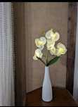 Kwiat orchidea w wazonie