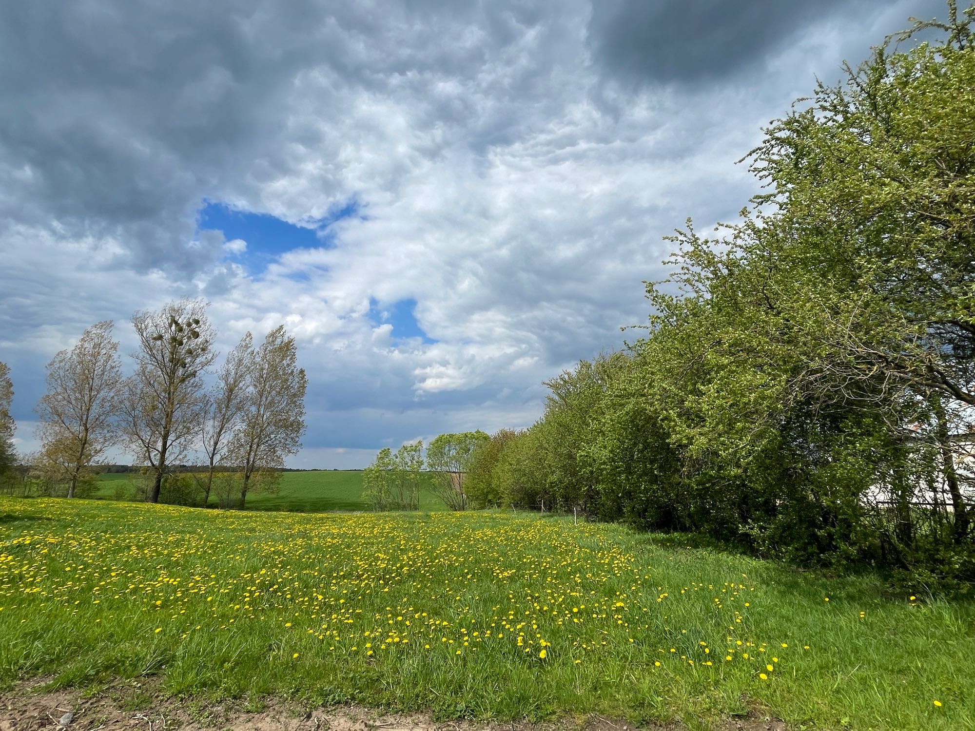 Działka na sprzedaż Bukowo woj. Podlaskie