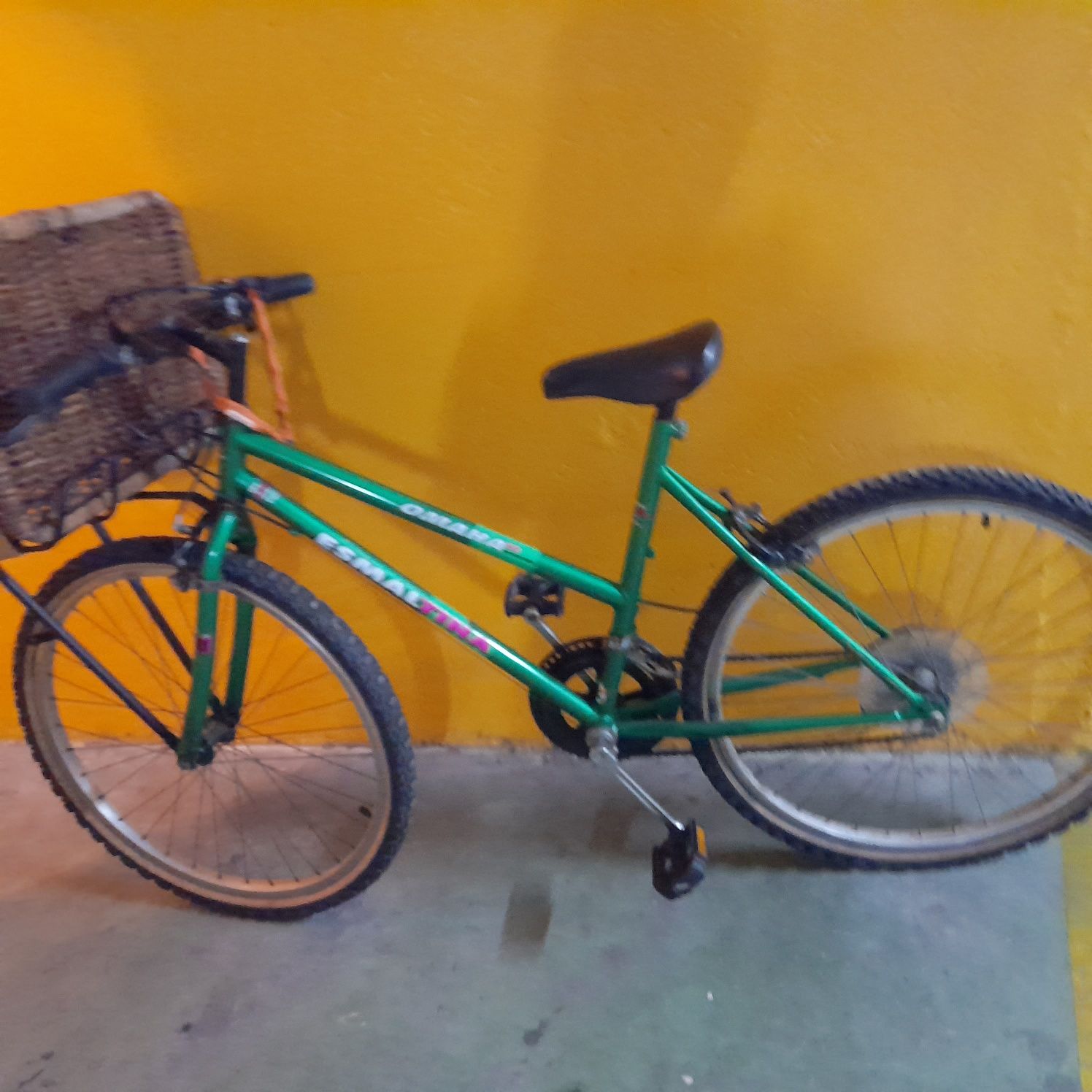 Bicicleta Esmaltina de Mulher com cesto