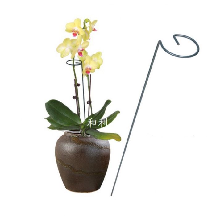 podpora do roślin 30 cm ros05wz1