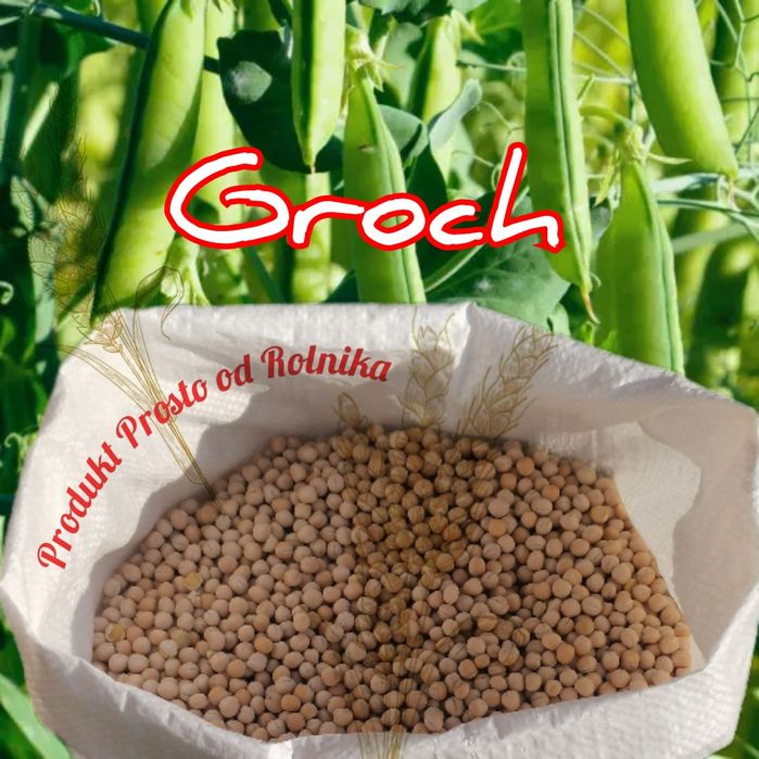 Groch opakowanie 25kg wysyłka natychmiast Inpost Na Pyszną Grochówkę
