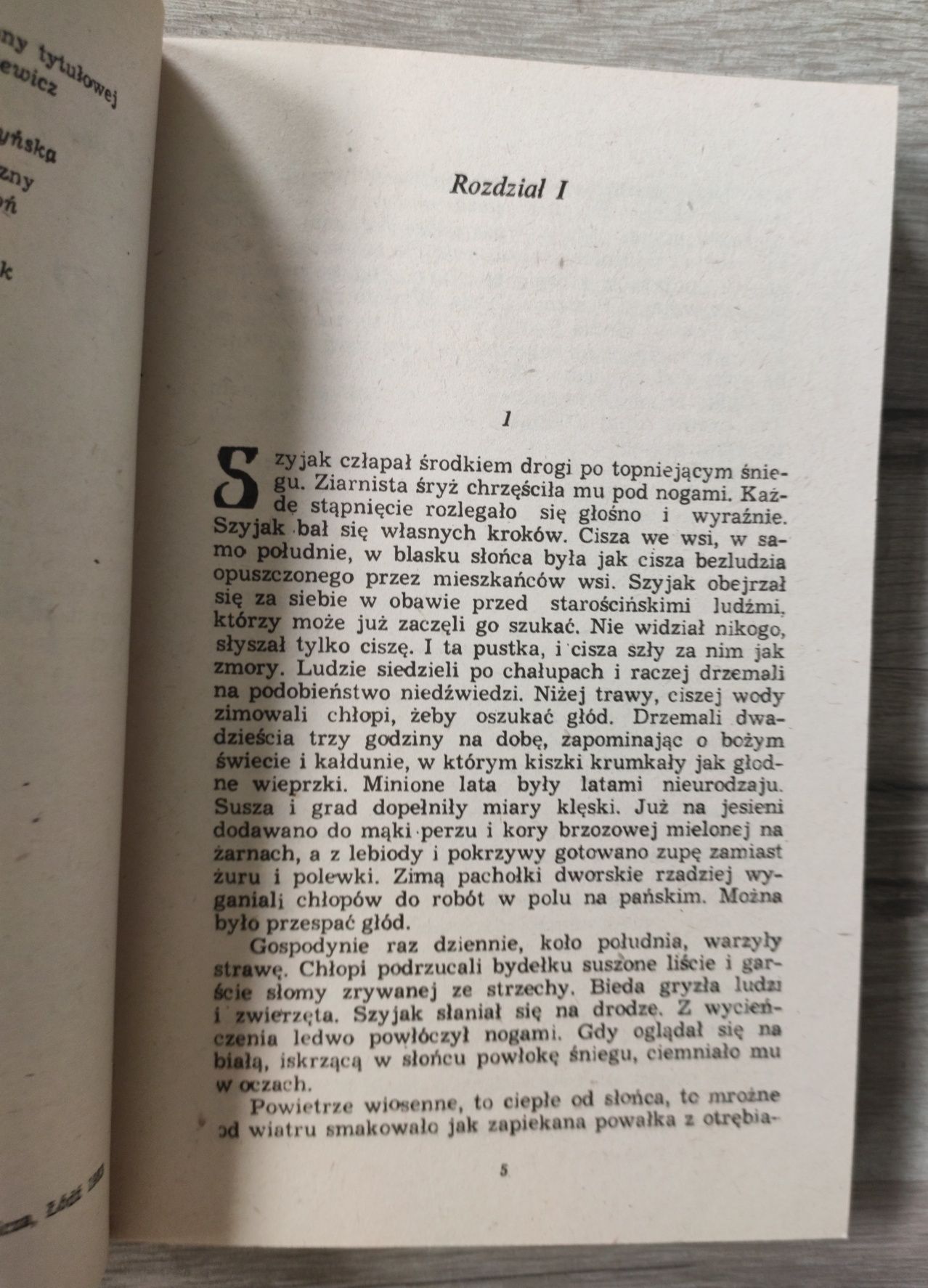 Lew Lechistanu Władysław Rymkiewicz
