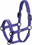 Kantar eskadron full dynamic purple