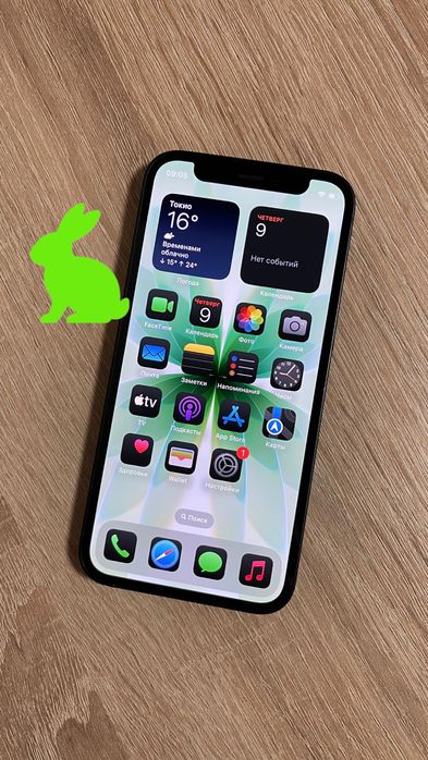 Iphone 12 Mini Black 64 Gb Neverlock