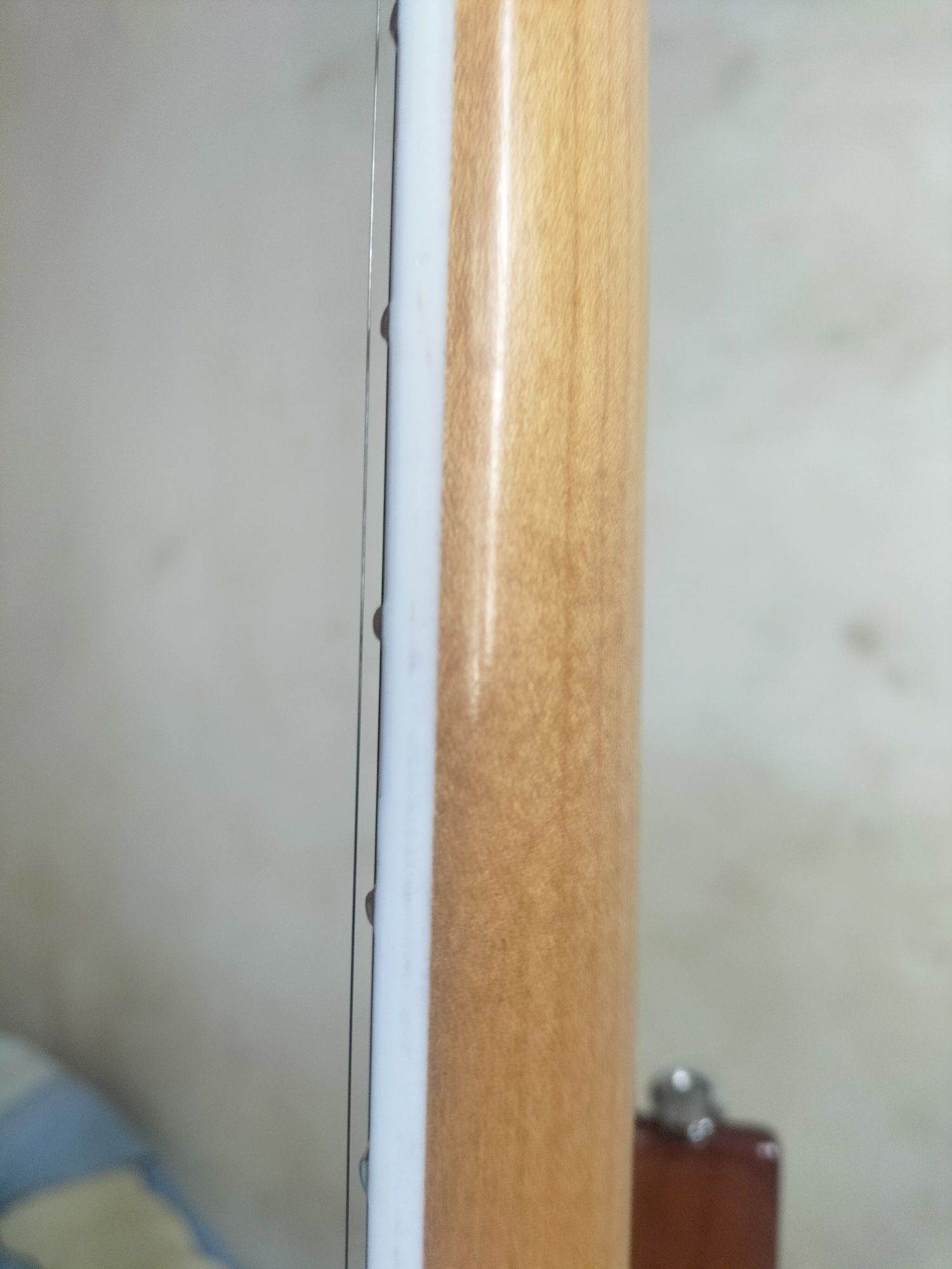 Електрогітара Ibanez GRG220PA1
