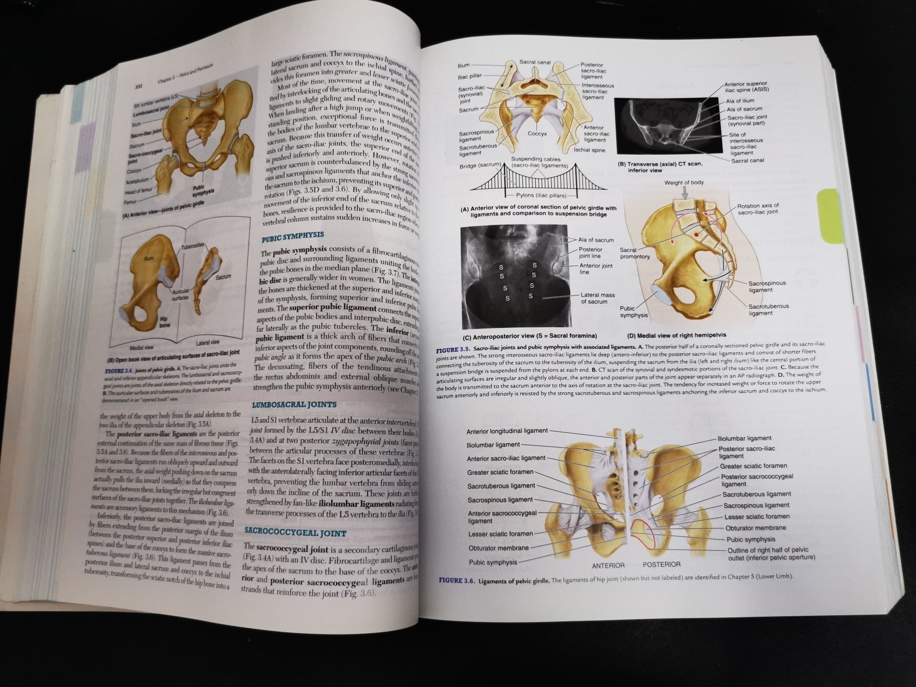 Clinically Oriented Anatomy Keith L. Moore 7th edition