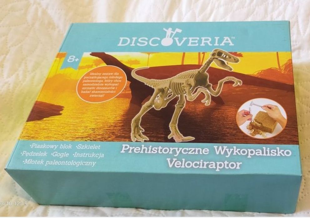 Zestaw wykopaliska dinozaurów 2 szt.