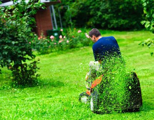 Koszenie trawy pielęgnacja ogrodów  wycinka i przycinka drzew TANIO