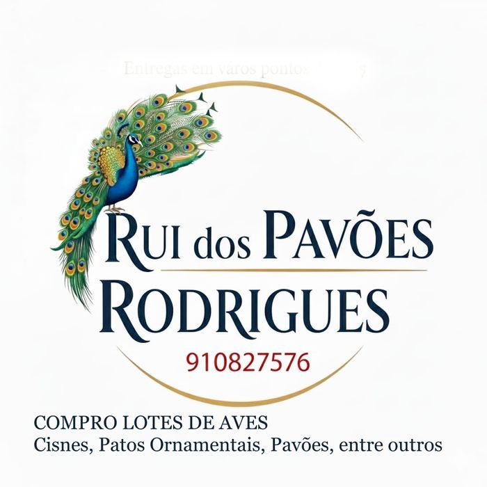 Cisnes*pato mandarim *pato carolino*pato ring teal*dendrocisnes*pavões