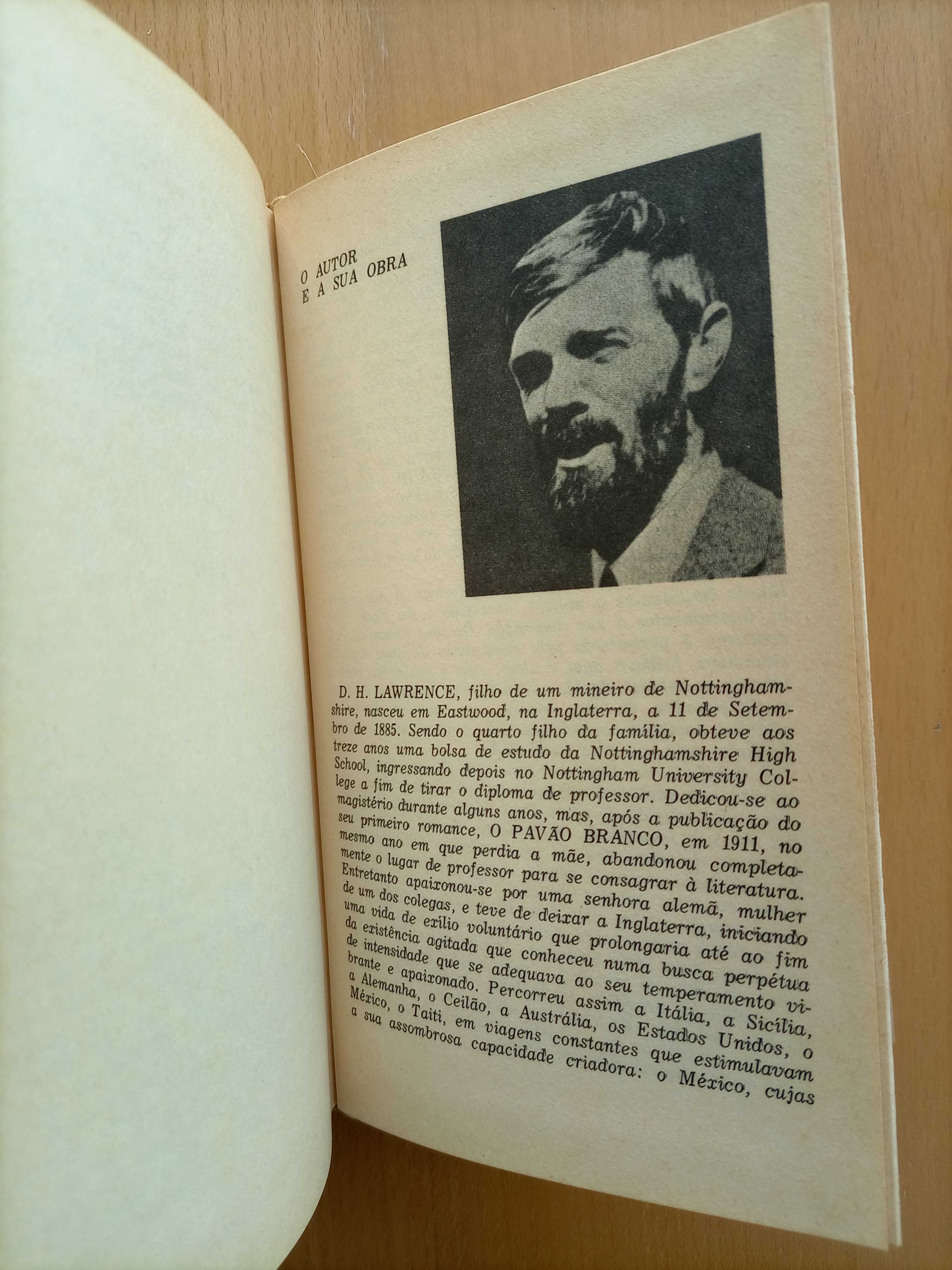 Livro "Filhos e Amantes" de D. H. Lawrence - Antigo