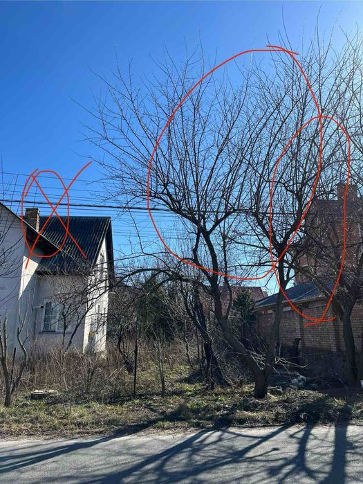 Спил дерев , обрізка фруктових дерев