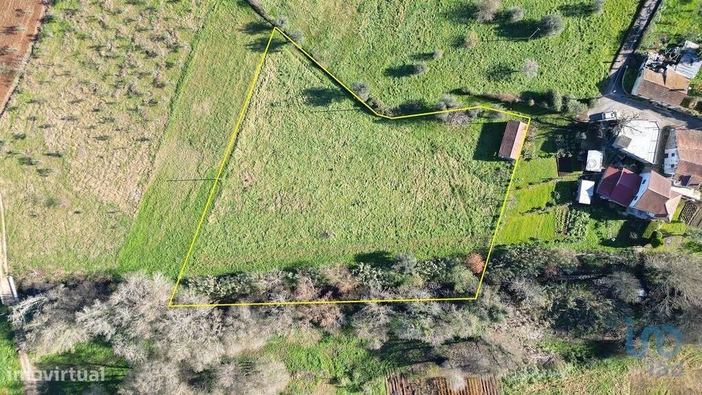 Terreno para construção em São Miguel, Santa Eufémia e Rabaçal