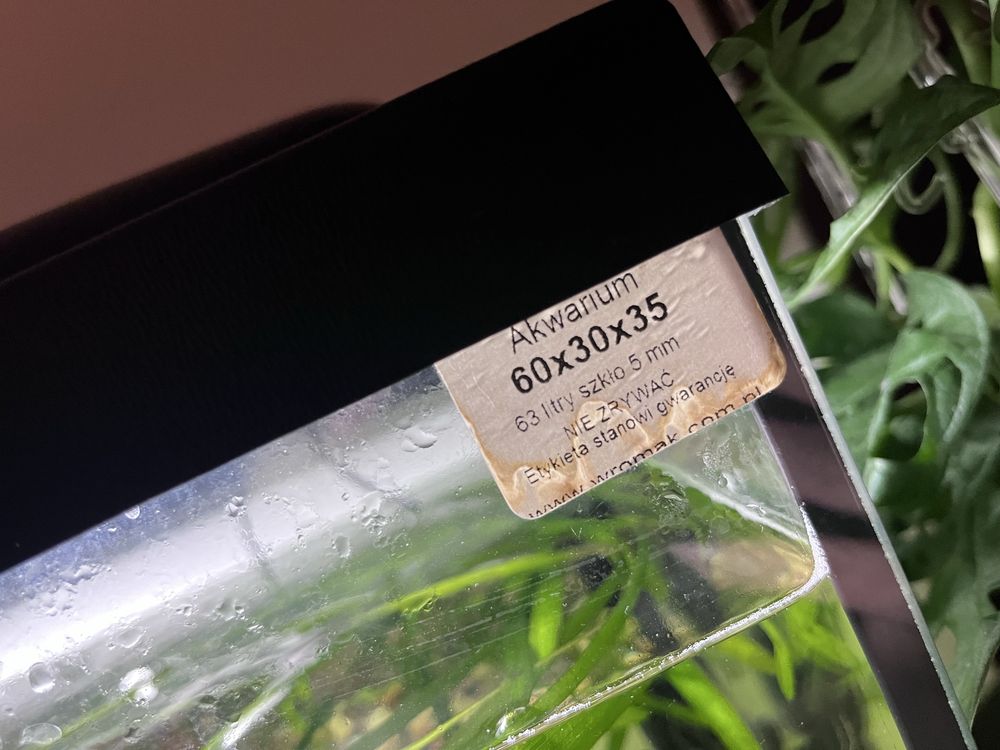 Akwarium 63 litrów  z pokrywką i światłem.