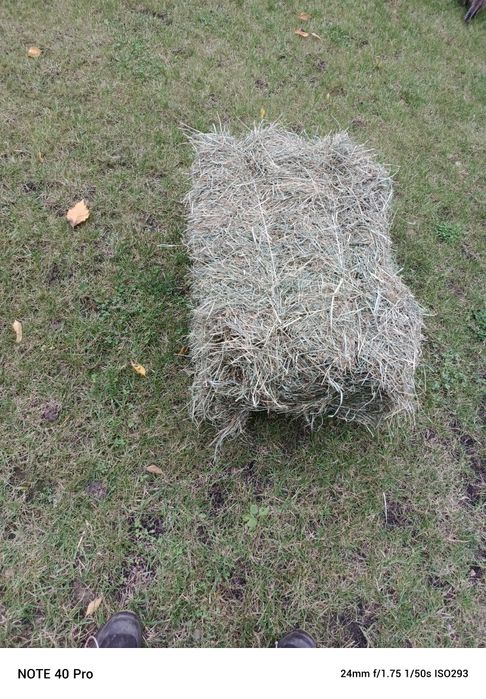 Siano , ładna zbita kostka