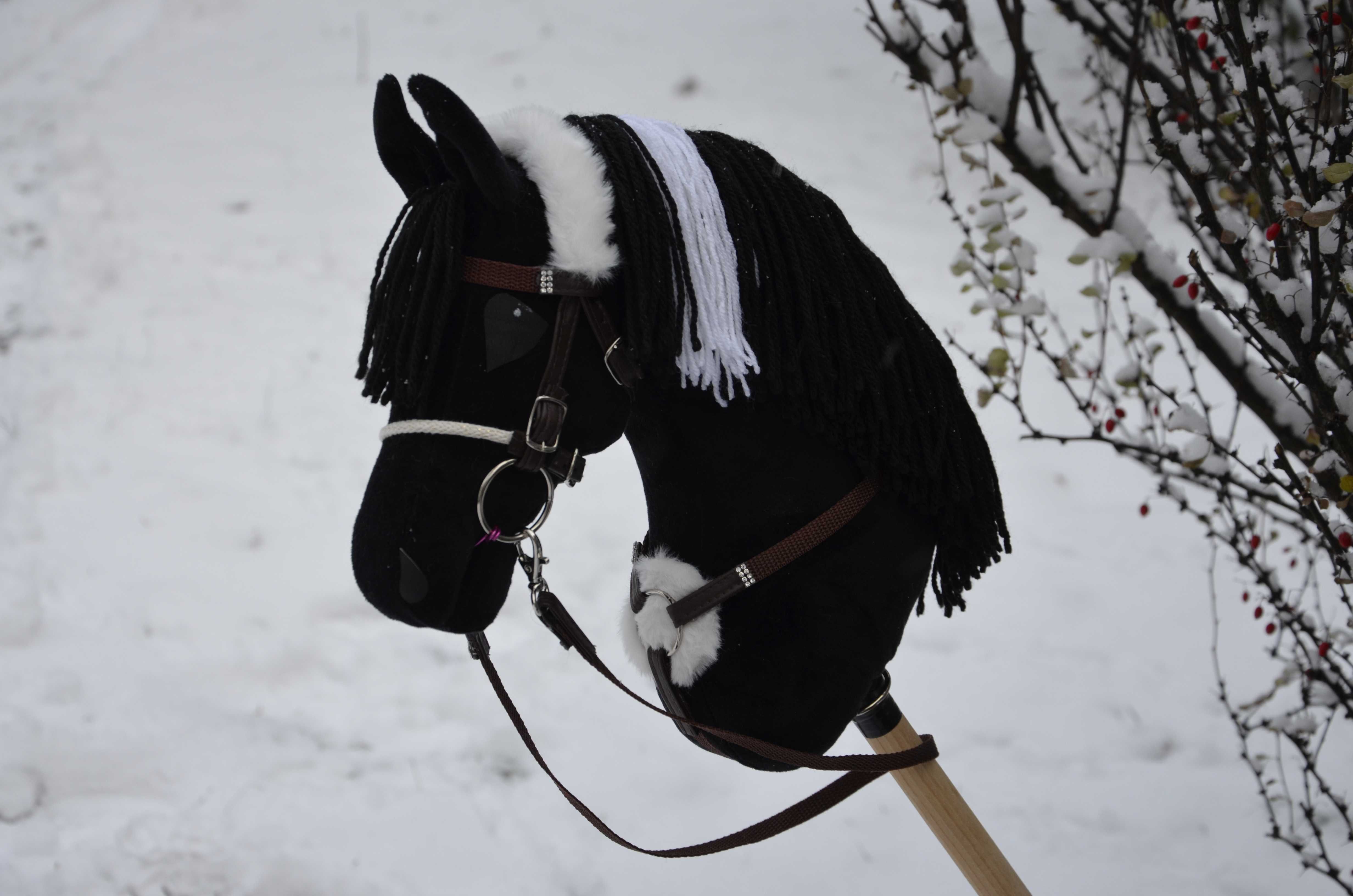 Hobby Horse czarny kary A3