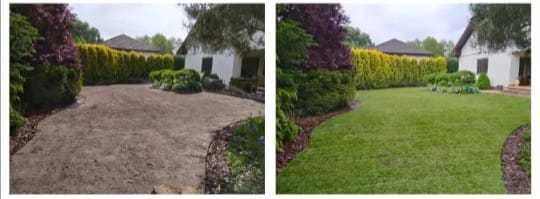 Karczowanie działek, wycinki, usługi rębakiem, porządkowanie działek