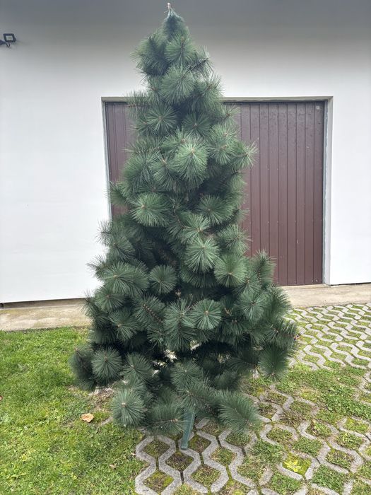 Sztuczna choinka sosna