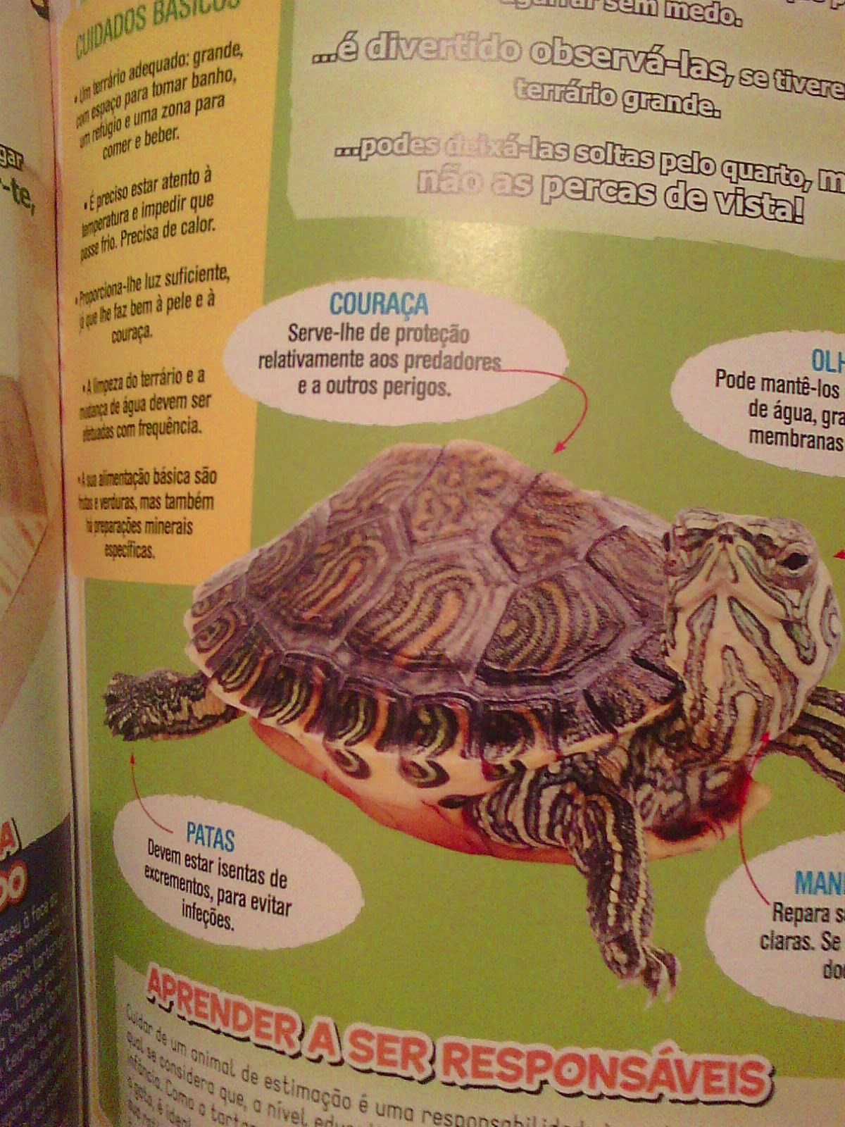 revista panini amigos animais numero 6