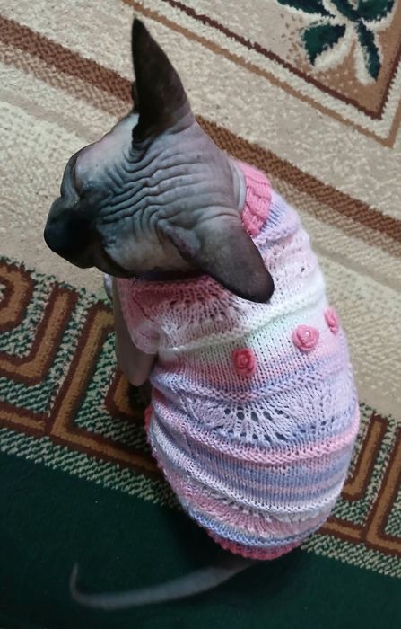 Продам одяг на сфінксів