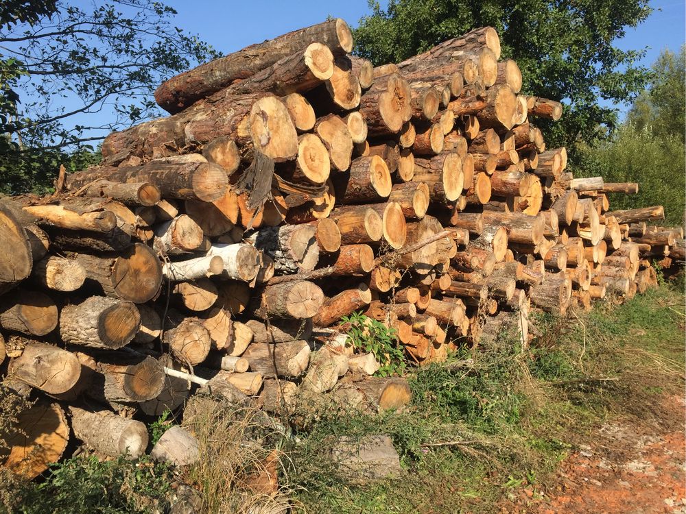 Drewno Kominkowe Opałowe Akacja Dąb Brzoza Olcha Sosna Transport