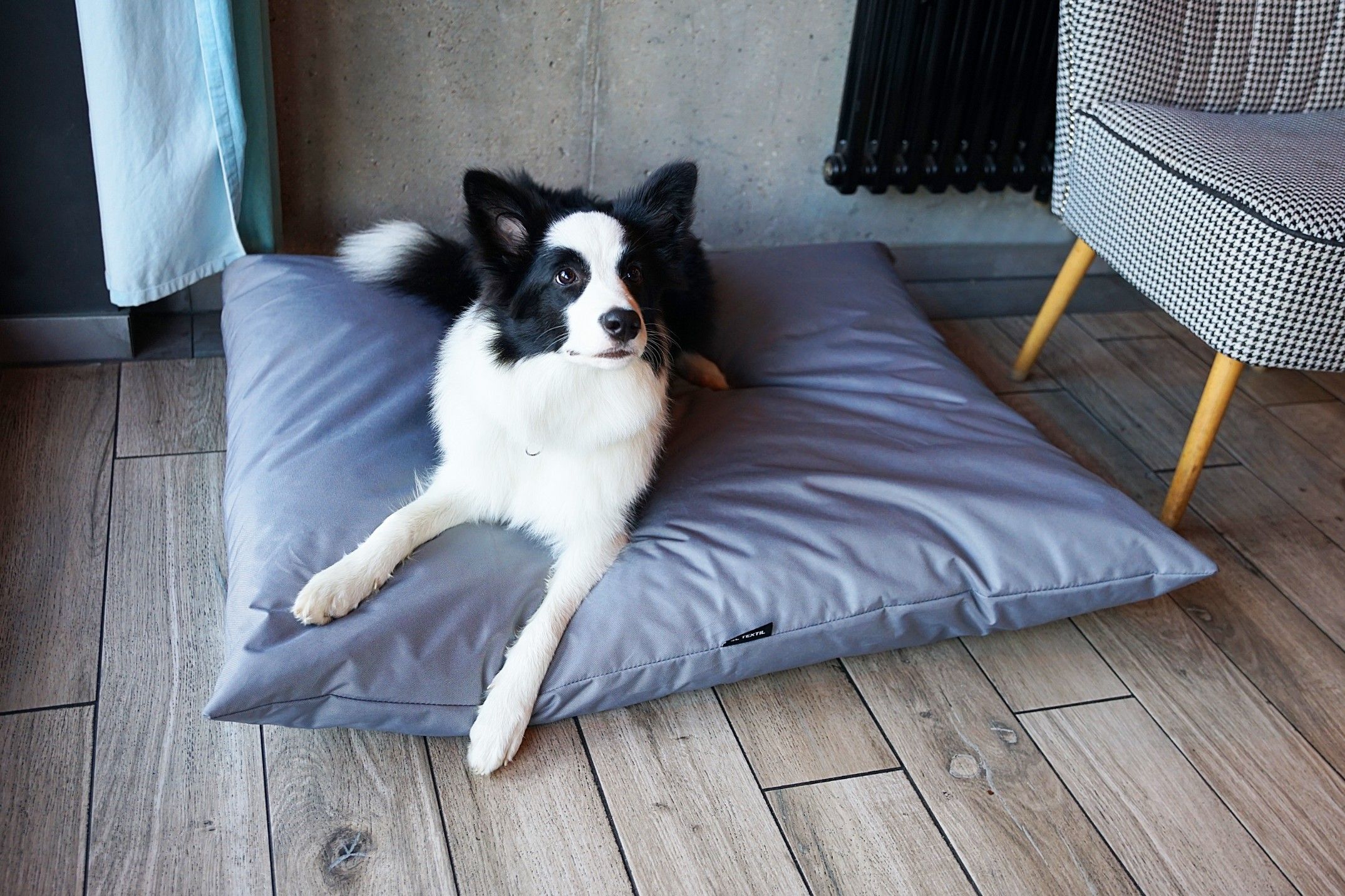 Wodoodporne legowisko poduszka dla psa ZOE (60x50 cm, Szary)