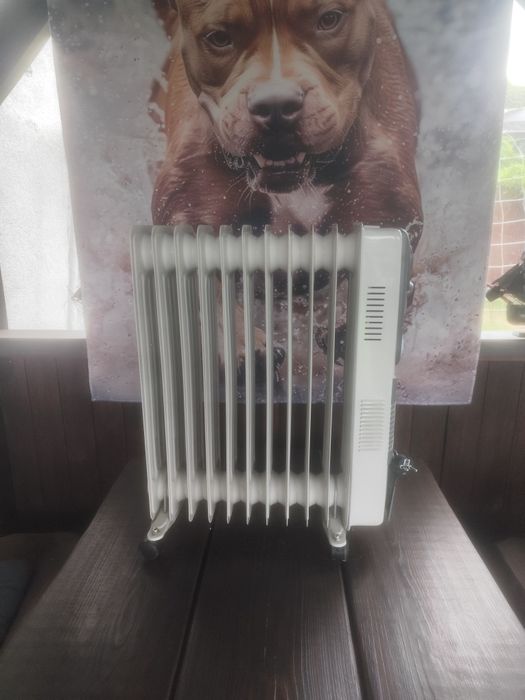 Grzejnik olejowy z termostatem i 11 żeber Max moc 2900W  OKAZJA !!!