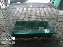 Gaiola para pássaros