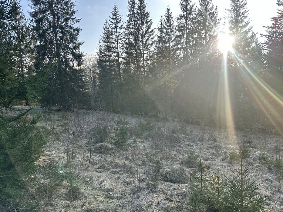 Земля Карпати микуличин