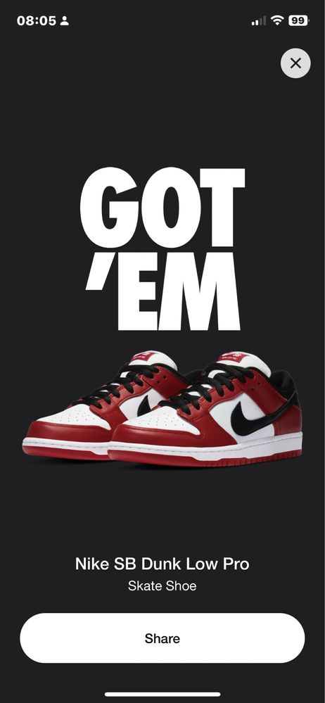 Nike Chicago Dunk Low SB