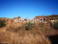 Monte Alentejano C/ ruína, barragens - árvores de frutos e cortiça