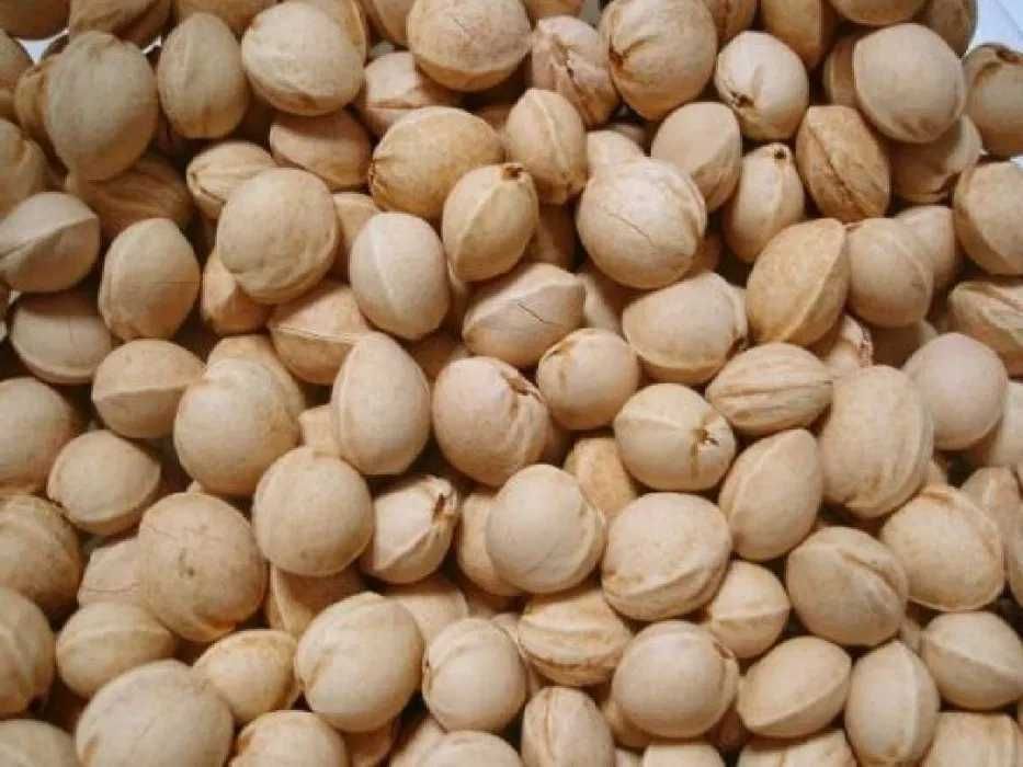 1 kg - Pestka Pestki Wiśni Naturalny Termofor