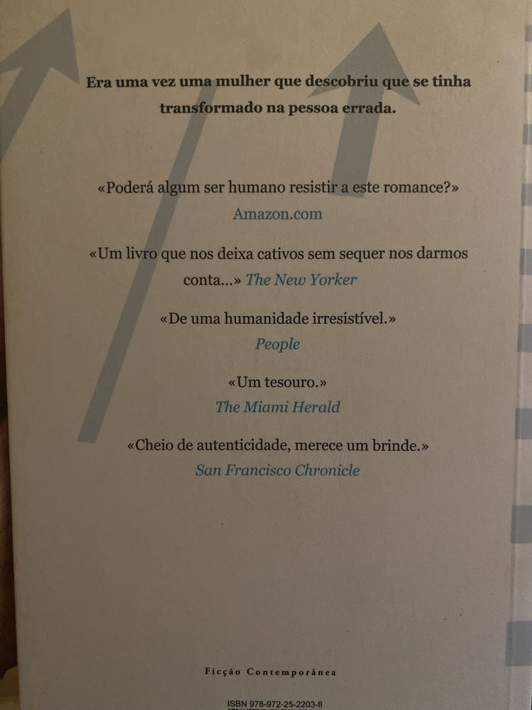 Livro No tempo em que éramos adultos