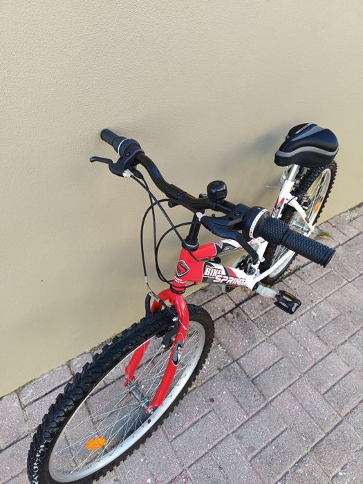 Bicicleta de montanha