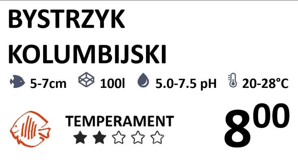 Bystrzyk Kolumbijski - SKALMAR Sklep Akwarysty