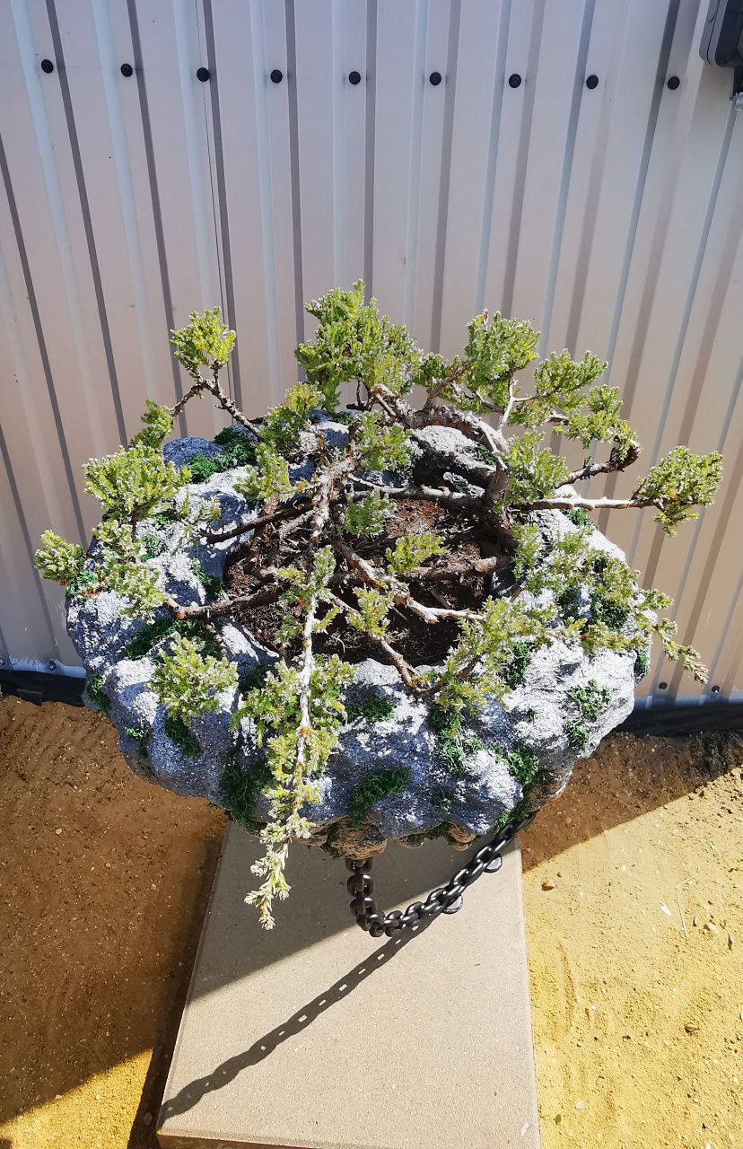 Donica bonsai lewitujacy kamień.