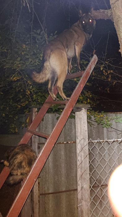 Малинуа кабель для вязки