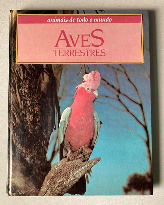 Aves  Terrestres