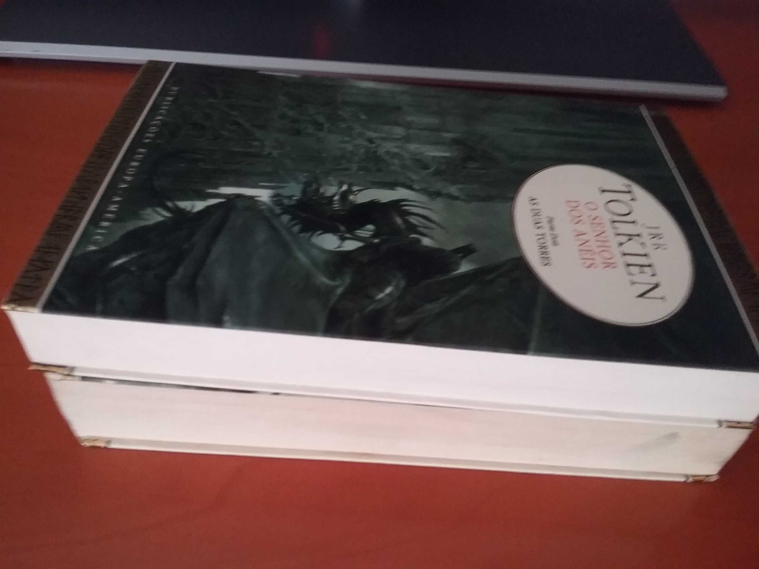 Senhor dos Anéis 1 a irmandade do anel Tolkien
