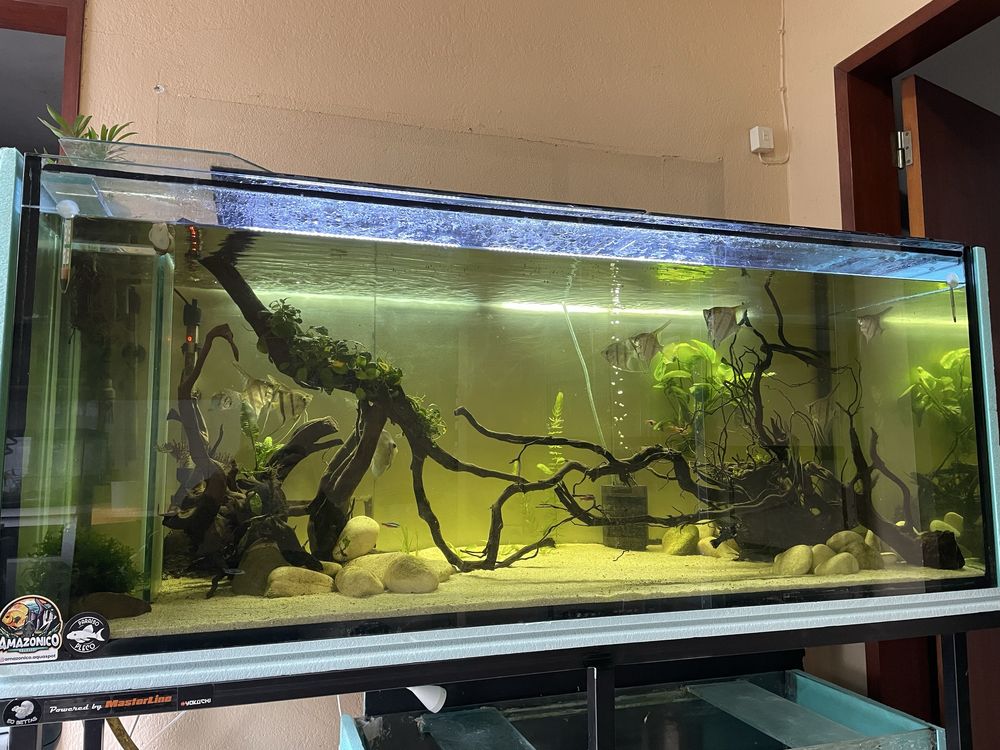 Troco Aquario com estrutura