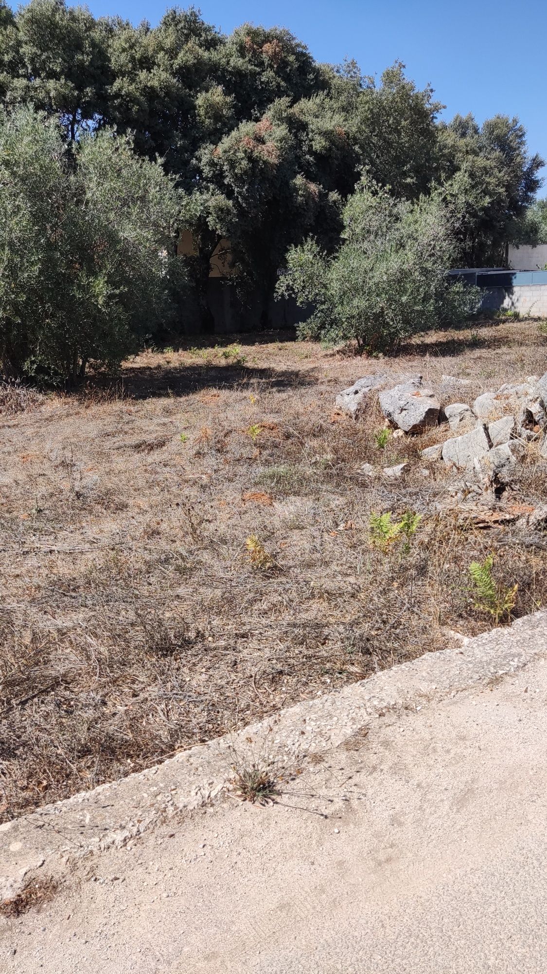 Terreno urbano para construção de moradia
